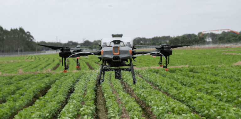 How Drones Are Used in Agriculture